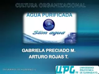 desarrollo humano v