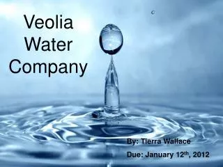 Veolia Water Company