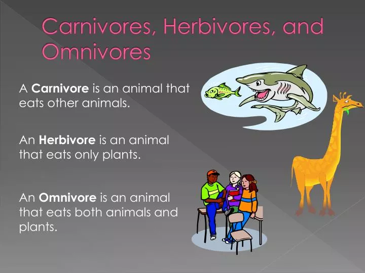 carnivores herbivores and omnivores