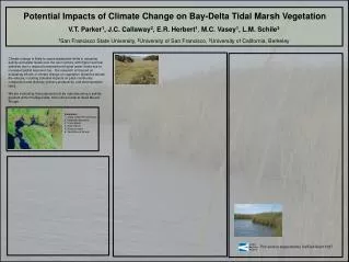 Potential Impacts of Climate Change on Bay-Delta Tidal Marsh Vegetation