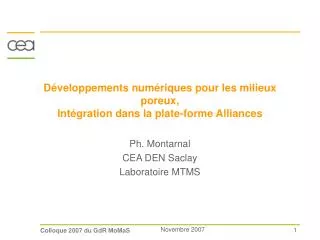 d veloppements num riques pour les milieux poreux int gration dans la plate forme alliances