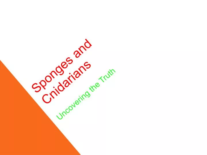 sponges and cnidarians uncovering the truth