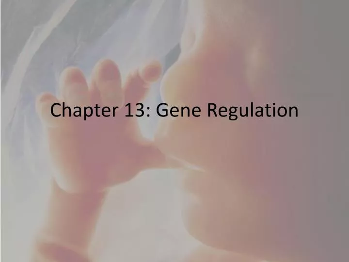 chapter 13 gene regulation