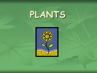plants