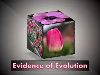 Evidence of Evolution