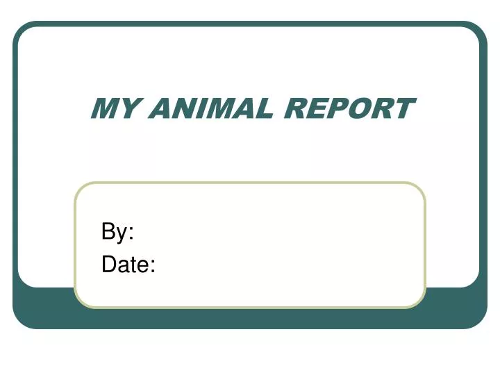 my animal report