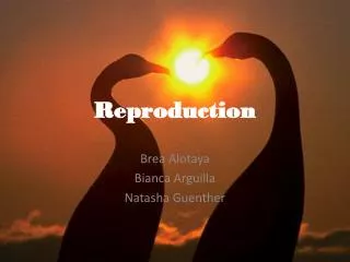 reproduction