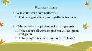 Photosynthesis