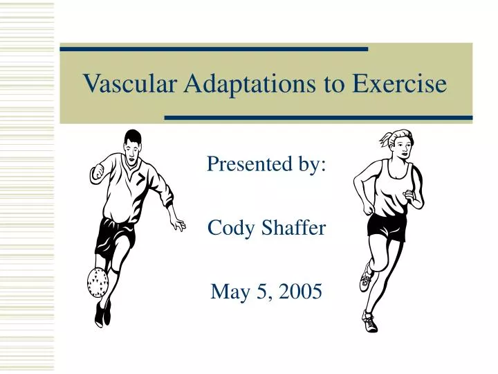 vascular adaptations to exercise