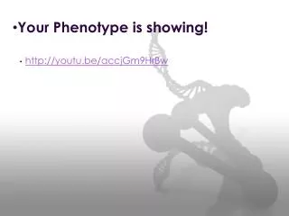 Your Phenotype is showing!