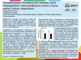 REFERÊNCIAS: Olivares FL, Baldani VLD, Reis VM, Baldani JI, Döbereiner J (1996)