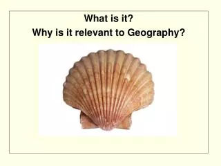 What is it? Why is it relevant to Geography?