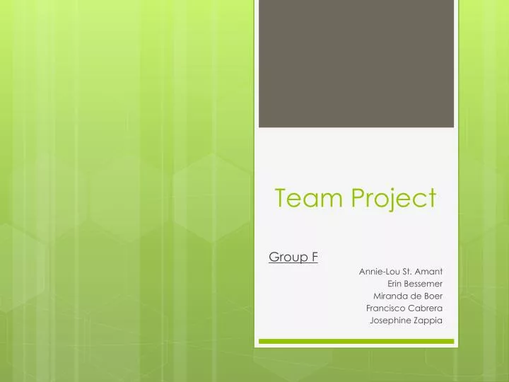 team project