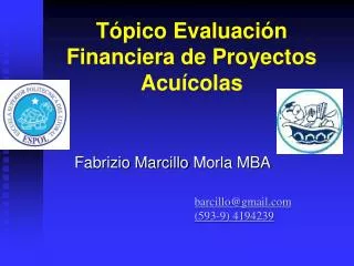 t pico evaluaci n financiera de proyectos acu colas