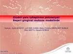Eludril yara iyileştirme potansiyeli Beşeri gingival mukoza modelinde - slide 1