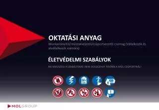 oktat si anyag