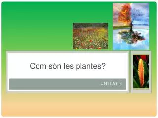 com s n les plantes
