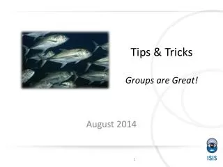 Tips &amp; Tricks Groups are Great!