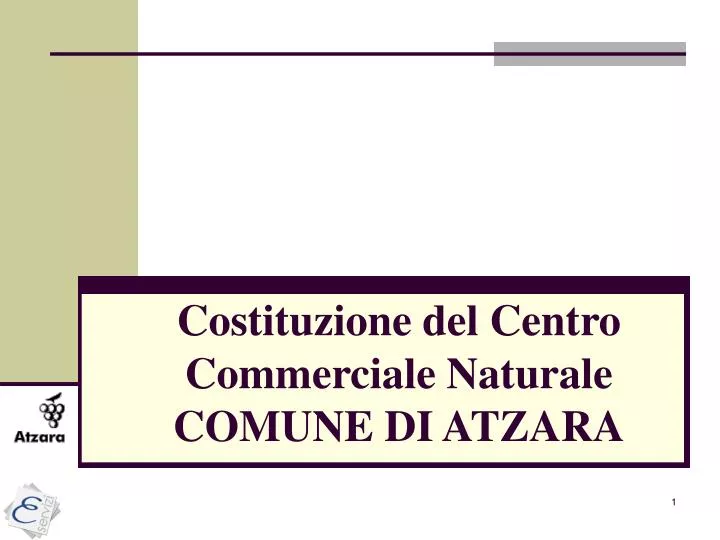 costituzione del centro commerciale naturale comune di atzara