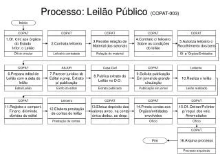 processo leil o p blico copat 003