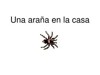 una ara a en la casa