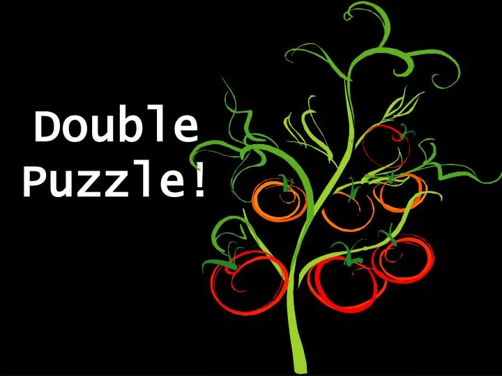 double puzzle