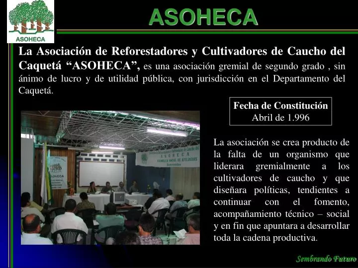 asoheca