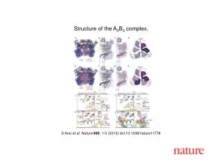 S Arai et al. Nature 000 , 1-5 (2013) doi:10.1038/nature11778