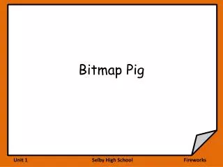 bitmap pig