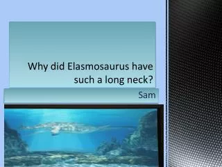 Why did E lasmosauru s have such a long neck?