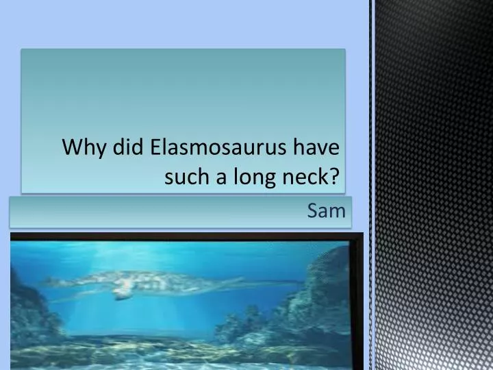 why did e lasmosauru s have such a long neck