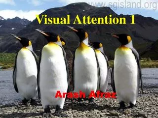 Visual Attention 1 Arash Afraz