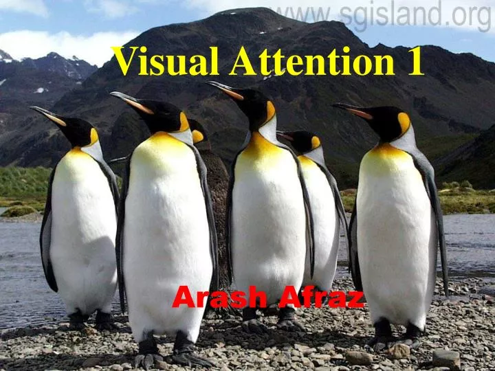 visual attention 1 arash afraz