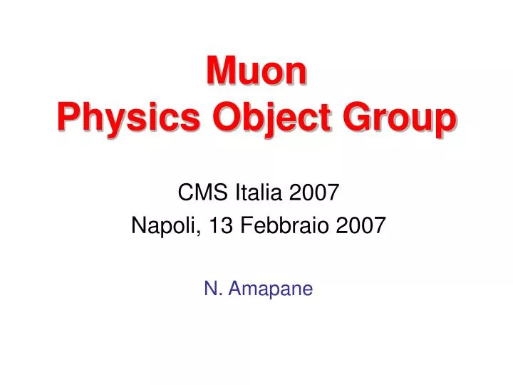 muon physics object group