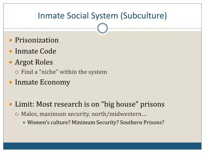 inmate social system subculture
