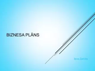 biznesa pl ns