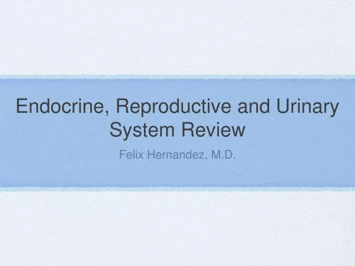 endocrine reproductive and urinary system review