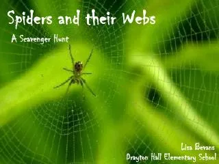 Spiders and their Webs