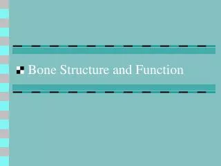 Bone Structure and Function