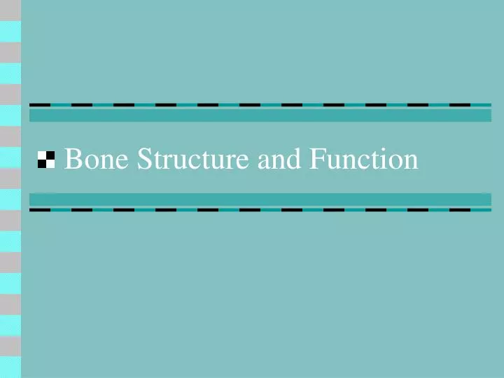 bone structure and function