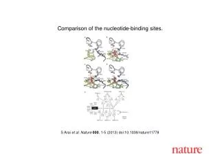 S Arai et al. Nature 000 , 1-5 (2013) doi:10.1038/nature11778