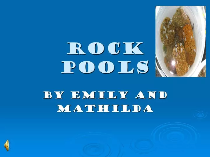 rock pools