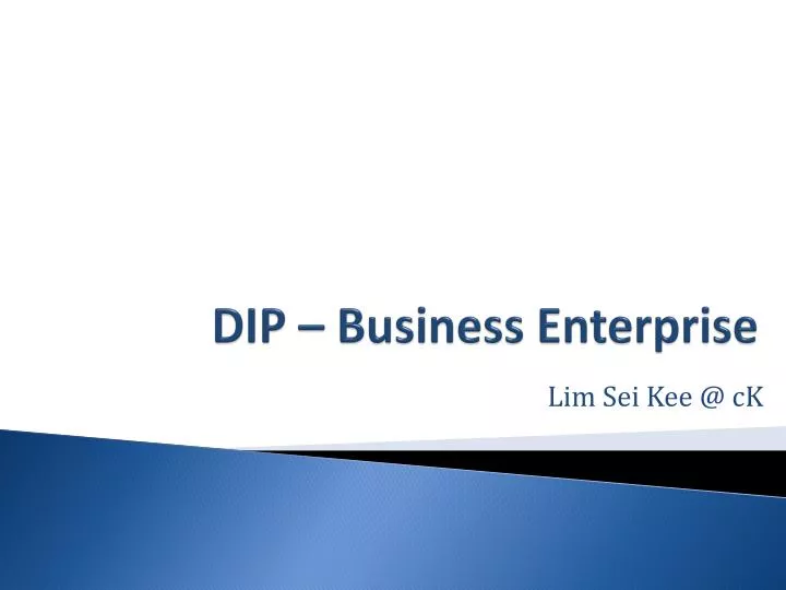 dip business enterprise