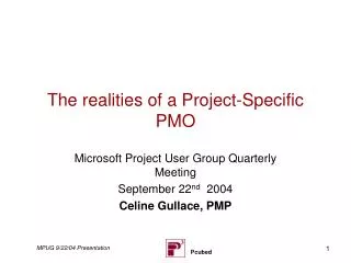 The realities of a Project-Specific PMO