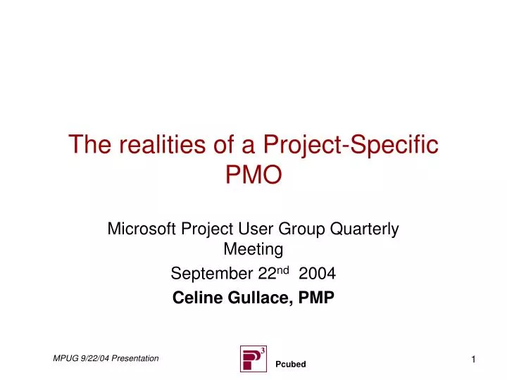the realities of a project specific pmo