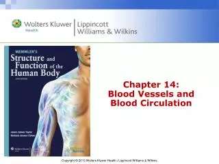 Chapter 14: Blood Vessels and Blood Circulation