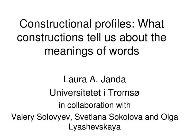 constructional profiles what constructions tell us about the meanings of words