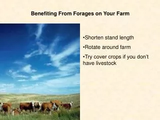 Benefiting From Forages on Your Farm