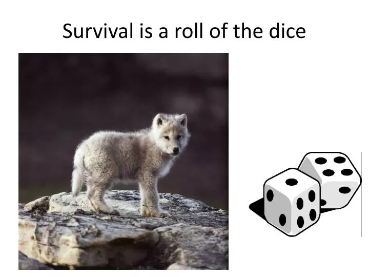 survival is a roll of the dice