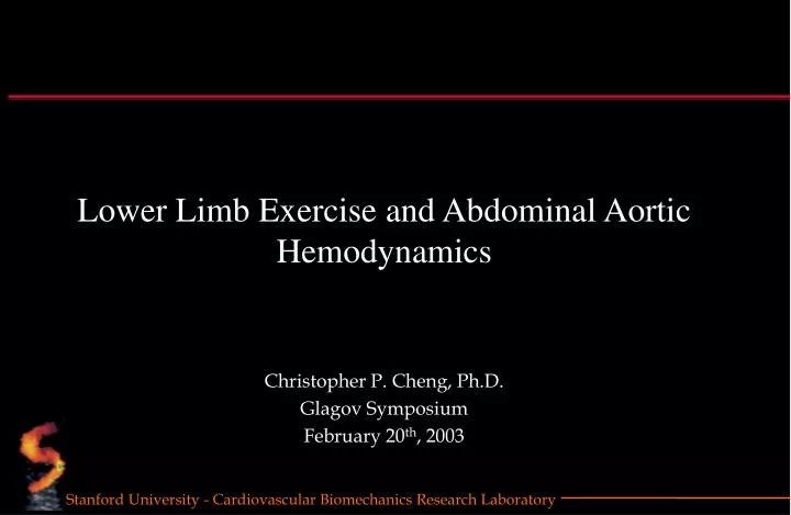 lower limb exercise and abdominal aortic hemodynamics